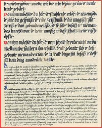 The Red Book - Le Livre Rouge (C.G. Jung)