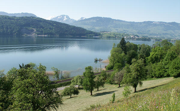 Le lac de Zurich,  droite dans la partie boise, la tour de C.G. Jung
