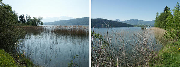 Le lac de Zurich prs de la tour de C.G. Jung