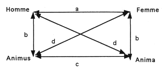 Homme Femme Animus Anima
