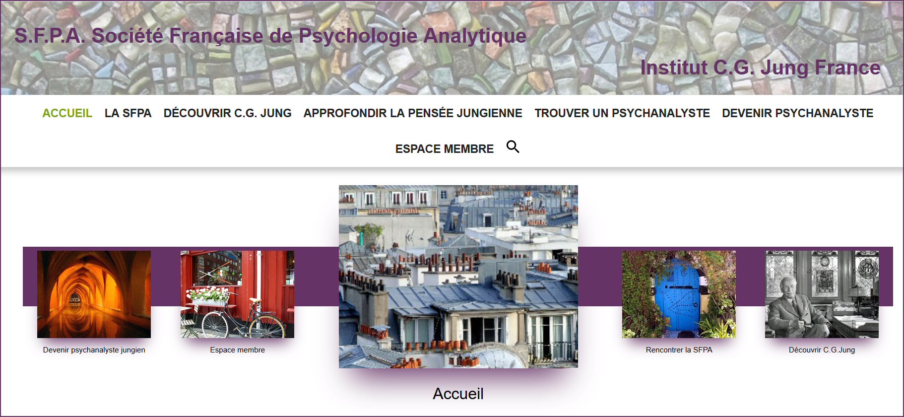 Socit franaise de psychologie analytique