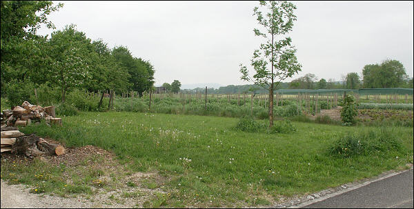 Paysage situ  proximit du presbytre de Laufen